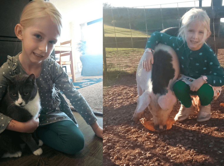 two-photos-with-a-young-girl-with-blonde-hair-on-the-left-she-has-a-cat-on-her-lap-who-is-grey-and-white-and-on-the-right-with-a-pig